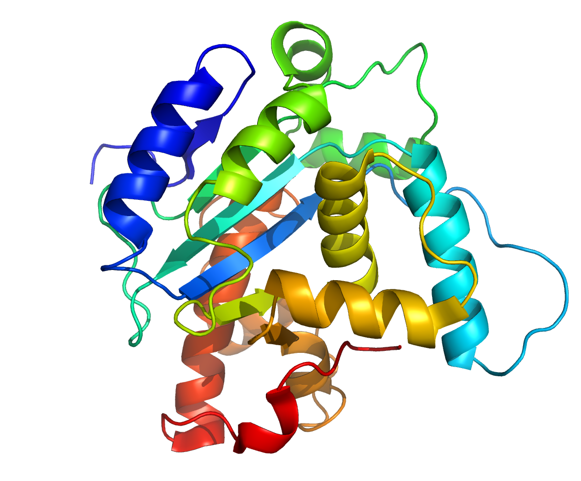diagram of a protein with lots of helices and colours